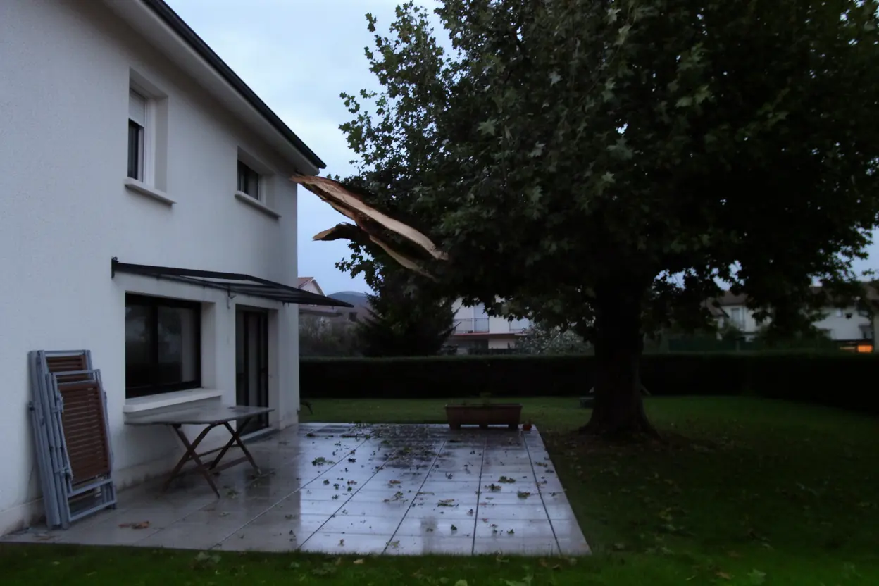 Branche suspendue au-dessus d'une terrasse à Roche-la-Molière
