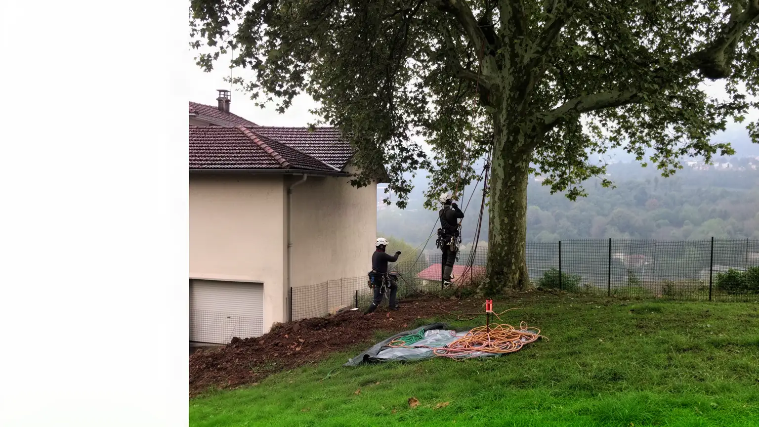 Élagueur à Saint-Étienne : élagage et abattage d'arbres