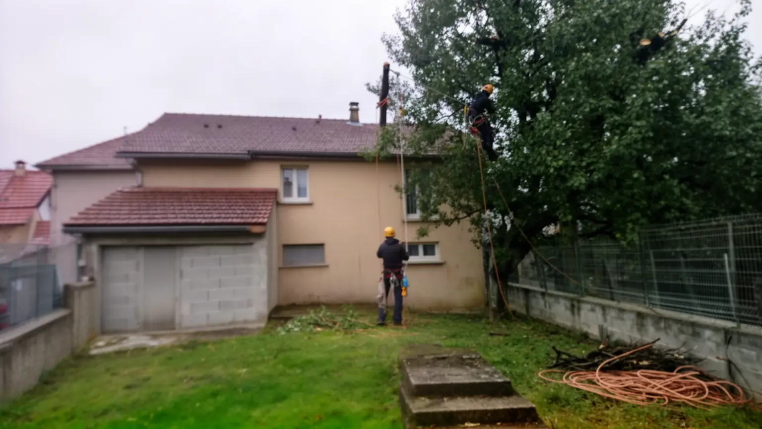 Élagueur professionnel à Roche-la-Molière et alentours