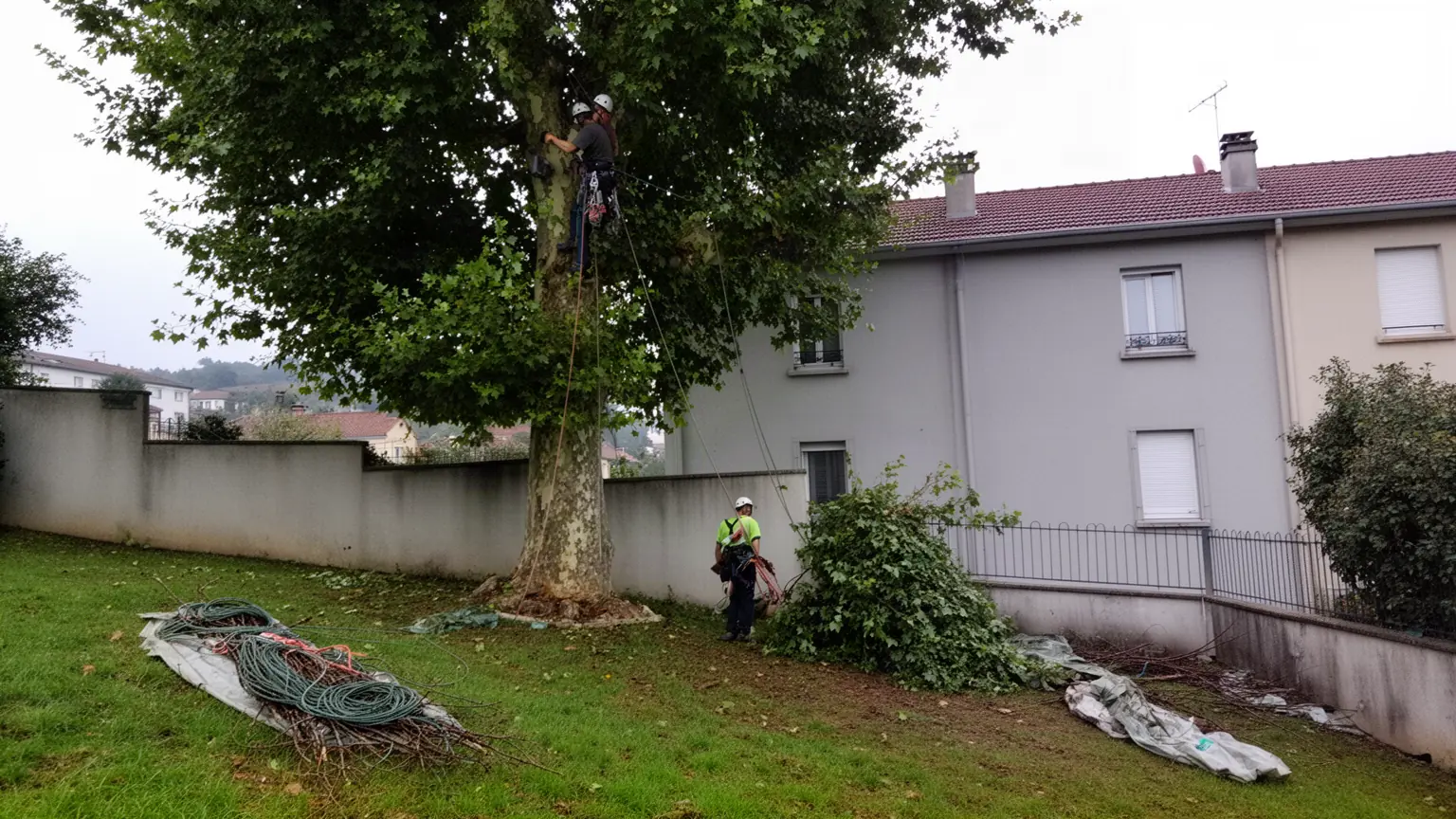 Élagueur professionnel à Saint-Priest-en-Jarez et alentours